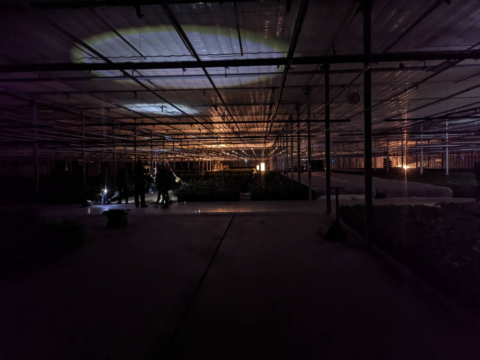 PXL_20251018_202017167